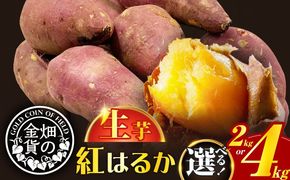 畑の金貨 生芋 紅はるか 容量が選べる　2kg or 4kg　K181-004