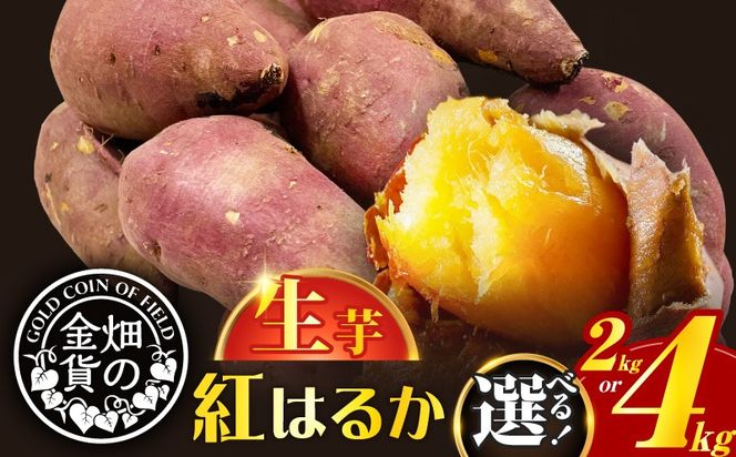 畑の金貨 生芋 紅はるか 容量が選べる　2kg or 4kg　K181-004