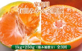 〈定期便〉【10・11・12月 全3回】家庭用 有田みかん定期便 1kg+250g（傷み補償分）※北海道・沖縄・離島への配送不可