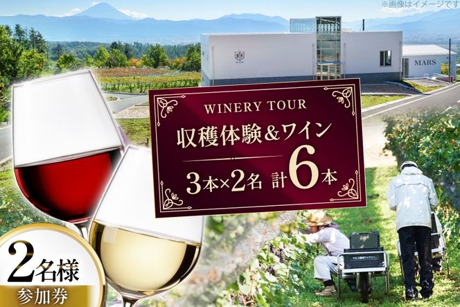 ワイン 収穫体験＆ワインセット 3本×2名 計6本 ペア 2名様 参加券 ワイナリー [本坊酒造マルス穂坂ワイナリー 山梨県 韮崎市 20745174]