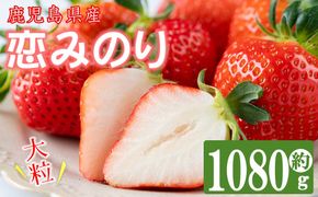 【数量限定】鹿児島県産朝採れイチゴ「恋みのり」約1080g(約270g×4パック)a0-402