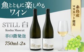 【年内発送】【糸島マスエワイナリ】STILL 白 Koshu Muscut 2本 糸島市 / いとしのいとしま[AEP002] 白ワイン 国産 ワイン 辛口 発泡 白 マスカット 甲州 魚介 糸島 ワイナリー