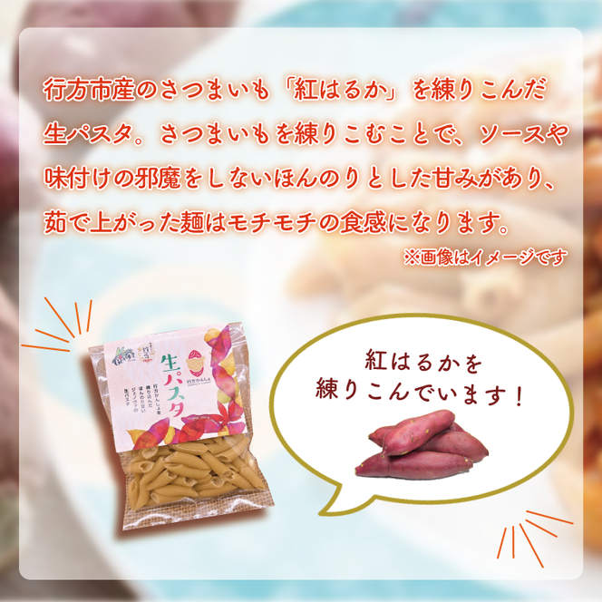 CJ-12 生パスタ （ペンネ10食分）