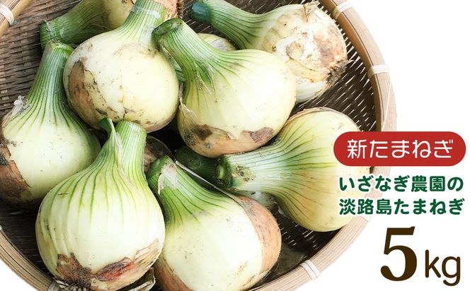 【新玉ねぎ】いざなぎ農園の淡路島たまねぎ 5kg【発送時期2026年5月頃】 玉ねぎ