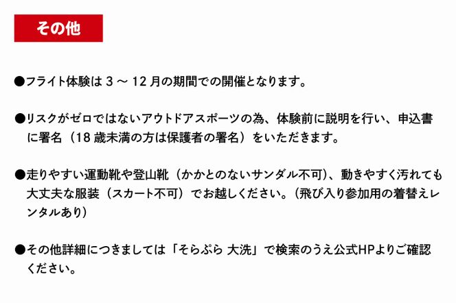 パラグライダー フライト体験 標準コース 大人1名様分 大洗町 観光 体験 アクティビティ