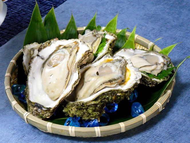 【先行予約 7月上旬～下旬発送予定】象潟産 天然岩牡蠣 7～8個 ナイフ無【牡蠣 夏牡蠣 かき 象潟 生食可 魚介類 海鮮 海産物 海の幸】