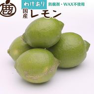 ＜9月より発送＞家庭用 レモン1.5kg+250g（傷み補償分）【和歌山有田産】【防腐剤・WAX不使用、安心の国産レモン】【わけあり・訳ありレモン】 ※北海道・沖縄・離島への配送不可 ※2025年9月中旬～2026年4月下旬頃に順次発送予定
