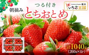 【先行予約】いちご とちおとめ つる付き 4パック ※2027年3月上旬～発送