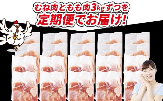 ＜宮崎県産若鶏切身 6kg（むね肉 300g×10袋 もも肉 300g×10袋）3か月定期便＞翌々月までに初回発送【 セット 詰め合わせ からあげ 唐揚げ カレー シチュー BBQ 煮物 チキン南蛮 小分け おかず おつまみ お弁当 惣菜 時短 炒め物 簡単料理 】【b0799_it_x2】