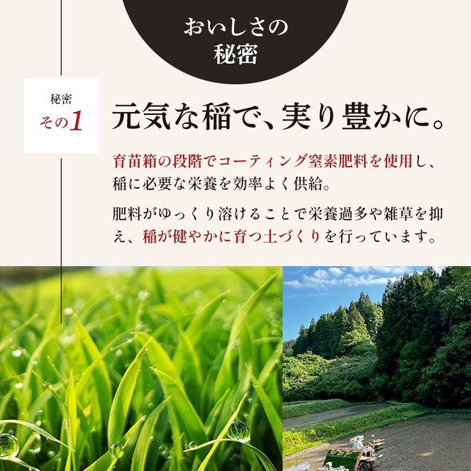 ひとめぼれ 定期便3回/5kg×2 令和7年産 宮城県産 米 精米 白米