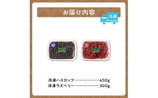 【2025年発送先行予約！】とかちしみずフルーツガーデンのハスカップ&ラズベリーセット_S009-0006