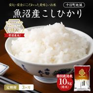 【3ヶ月定期便】特別栽培米 魚沼産こしひかり(十日町地域) 精米 10kg(5kg×2) 米 お米 コシヒカリ 定期 十日町市