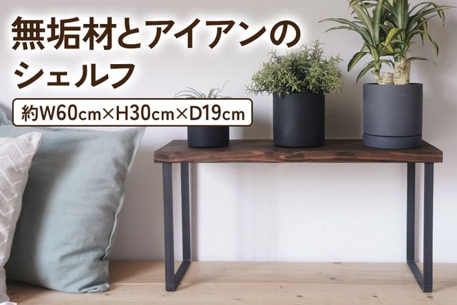 y{szCނƃACÃVFt _[NuE H30cm W60cm AR̓VRICbV i [2136]