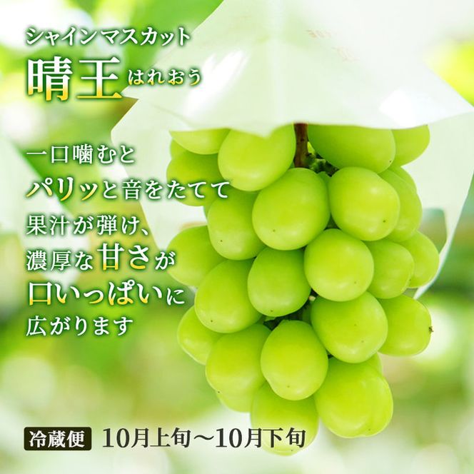 フルーツ 定期便 2026年 先行予約 晴れの国 おかやま 5回コース 桃 もも モモ 葡萄 ぶどう ブドウ 岡山県産 国産 果物 セット ギフト 梨 白桃 シャインマスカット ピオーネ 