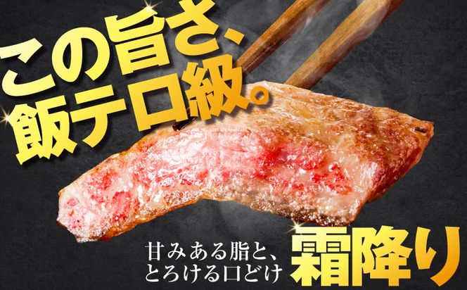 北さつま牛サーロインステーキ　K137-004