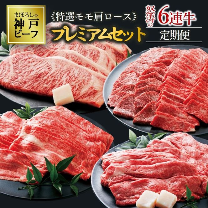 【冷蔵・年６回お届け】特選 黒田庄和牛霜降り・肩ロースプレミアムセット（焼肉・すき焼き・しゃぶしゃぶ・ステーキから選べます！） tokusan-55