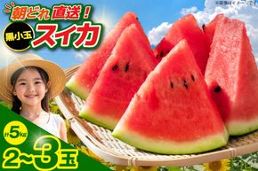 【令和8年度出荷分】BE275 黒小玉スイカ「ひとりじめBonBon」 5kg(1.7kg以上×2~3玉) ～名水百選の里 島原産～ [ Bunkou Farms 島原 合同会社 島原市 BE275 ]