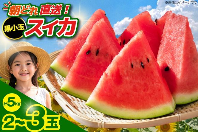 【令和8年度出荷分】BE275 黒小玉スイカ「ひとりじめBonBon」 5kg(1.7kg以上×2~3玉) ～名水百選の里 島原産～ [ Bunkou Farms 島原 合同会社 島原市 BE275 ]