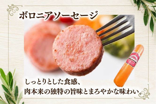 ソーセージ ボロニアソーセージ450g [吉田ハム工場 静岡県 吉田町 22424674] ボロニア 国産 豚肉 加工肉 肉 ハム おかず 惣菜 おつまみ ギフト お中元 お歳暮