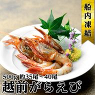 越前ガラエビ 約500g（約35～40尾） 魚介類 国産 福井県産 刺身 ねっとり 甘い 弾力 濃厚 旨味 塩焼き 煮つけ 味噌汁の具 船内凍結 獲れたてのような味 