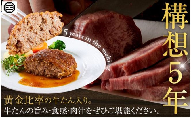 ぶつぎりたんちゃん特製 ごほう美たんの牛たんハンバーグ 372013_HX001