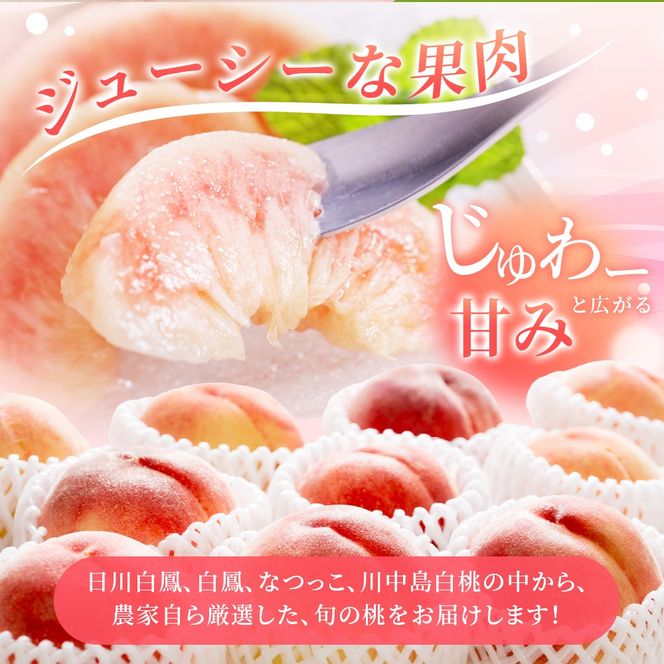 【先行予約】【厳選】あふれる果汁で口いっぱい！ 和歌山県産 桃 約2kg（6個~9個） 2026年6月末頃～2026年8月末頃に順次発送予定（お届け日指定不可）/ 和歌山 桃 モモ フルーツ もも 白