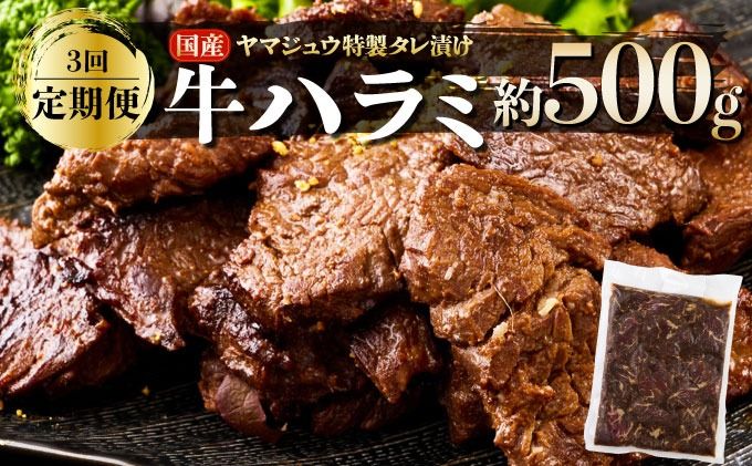 ヤマジュウの特製タレ漬け!牛ハラミ肉500g[3回定期便]_yj088