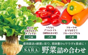 サラ詰め合わせセット 野菜13個 サラトリオ 3個 プラムトマト 5個 フルーツパプリカ 5個 野菜 レタス 3種のレタス トマト パプリカ 《30日以内に出荷予定(土日祝を除く)》 笠岡アグリセンター 野菜 岡山県 笠岡市---H-59---