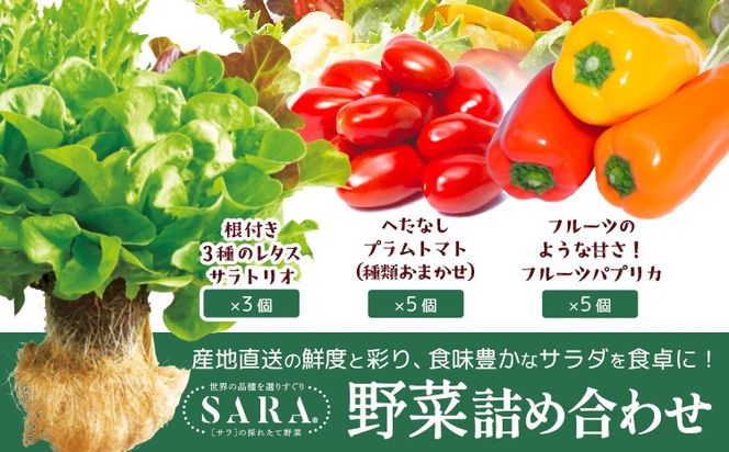 サラ詰め合わせセット 野菜13個 サラトリオ 3個 プラムトマト 5個 フルーツパプリカ 5個 野菜 レタス 3種のレタス トマト パプリカ 《30日以内に出荷予定(土日祝を除く)》 笠岡アグリセンター 野菜 岡山県 笠岡市---H-59---