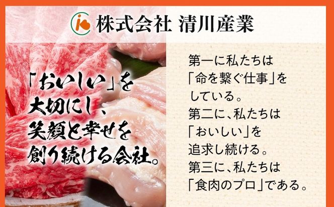 豚肉 切り落とし ミンチ 【C】ふくよか豚 お試し日用セット 小分け ブタ肉 ぶた肉 冷凍 福岡県 福岡 九州 グルメ お取り寄せ