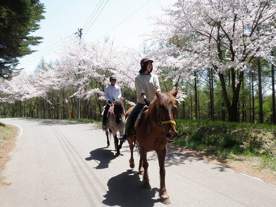乗馬 体験 まきば軽井沢 まったり100分 乗馬体験 1名様 体験チケット 馬 自然