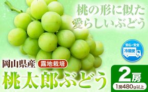 岡山県産桃太郎ぶどう 2房（480g以上）露地栽培 先行受付 《9月上旬-10月下旬頃出荷》【配送不可地域あり】---H-68---