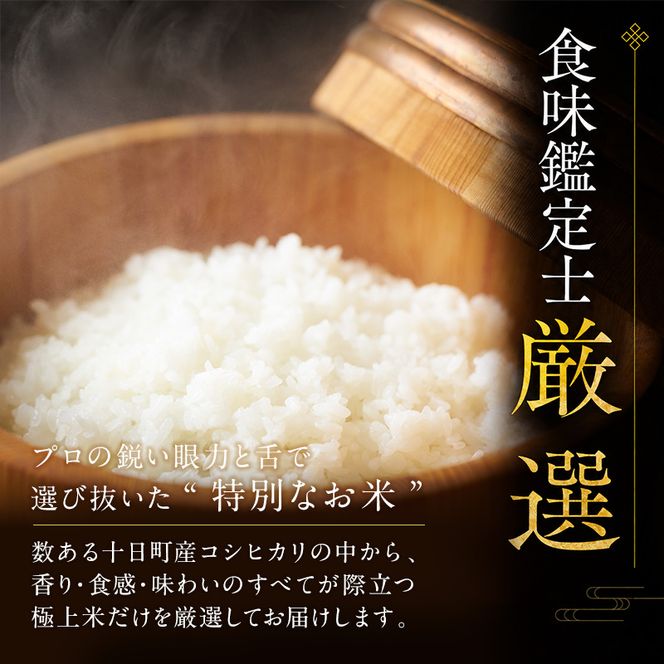 【令和8年産 先行予約】「12カ月定期便」食味鑑定士厳選！魚沼産こしひかり 20kg（5kg×4）×12回 米 コシヒカリ 定期 新潟県 十日町市