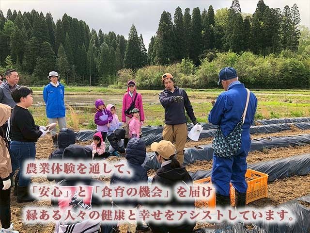 【射水の美味しいお米】【自然栽培農法】自然栽培農家 marufarm 自然栽培米「コシヒカリ」20kg ※2026年10月～発送