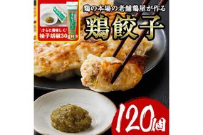 鶏の本場の老舗鶏屋が作る味鶏の餃子セット (計120個・1Pあたり12個入・柚子胡椒30g付き！) 鶏餃子 餃子 鶏肉 ぎょうざ おかず お惣菜 おつまみ 冷凍【V-72】【味鶏フーズ】