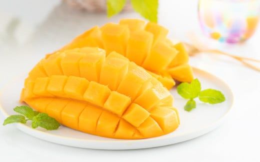 【完熟三養基マンゴー】アップルマンゴー 約1kg (大玉2個) C-494