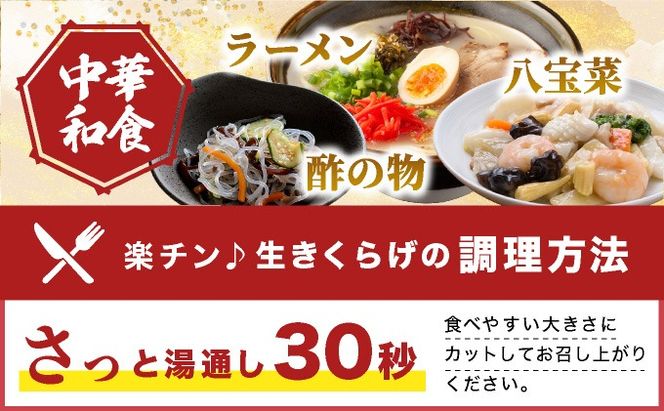 湘南しいたけ 生 きくらげ 500g きくらげ 木耳 キクラゲ 生 ぷりぷり プリプリ こりこり コリコリ 栄養 ヘルシー ダイエット 中華  アレンジ スープ サラダ 新鮮 きのこ キノコ 弾力【農福連携】