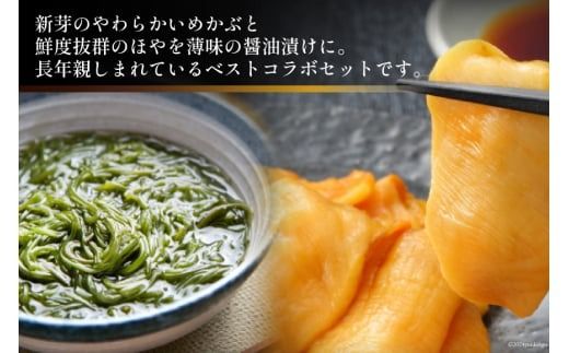 海鮮 セット 歌津小太郎 めかぶ漬 100g × 3袋 ほや 醤油漬 60g × 3袋 計6袋 [橋本水産食品 宮城県 南三陸町 m304amh590061] めかぶ 新芽 ホヤ 鮮度抜群 小分け おつまみ おかず