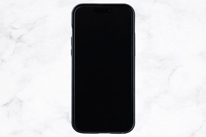 角館樺細工 《樺細工 八柳》 iPhone 16 ケース （桜） 角館工芸協同組合|02_kdk-0k1601b