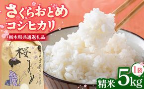 さくらおとめ コシヒカリ（5kg×1袋） 【栃木県共通返礼品】 | 米 お米 おこめ 精米 5キロ こしひかり ご飯 ごはん 栃木県 鹿沼市