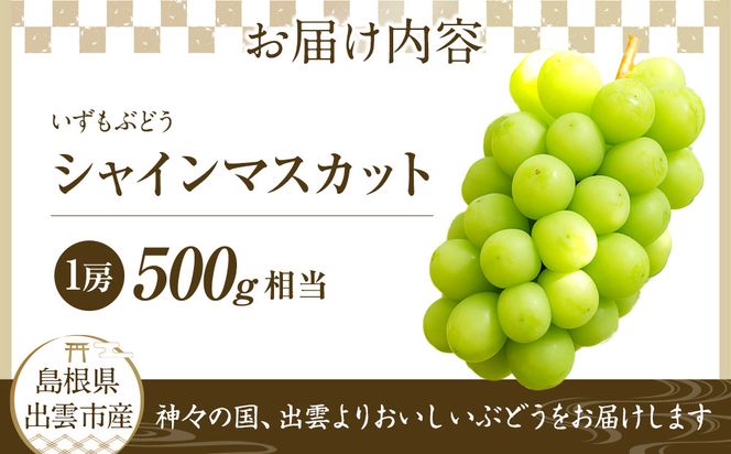 【2026年8月中旬以降発送】いずもぶどう　シャインマスカット(500ｇ見当) 先行 美味しい フルーツ 果物 出雲市産 322032_CG009