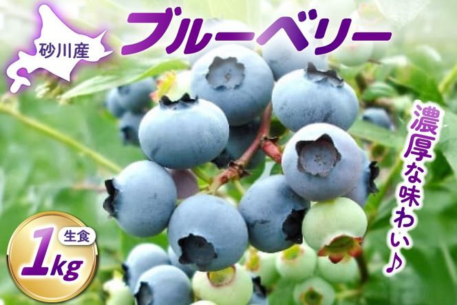 【期間限定発送】生食 ブルーベリー 1kg [ノーザン・ベリーズ 北海道 砂川市 12260529] 果物 フルーツ 国産 期間限定 数量限定