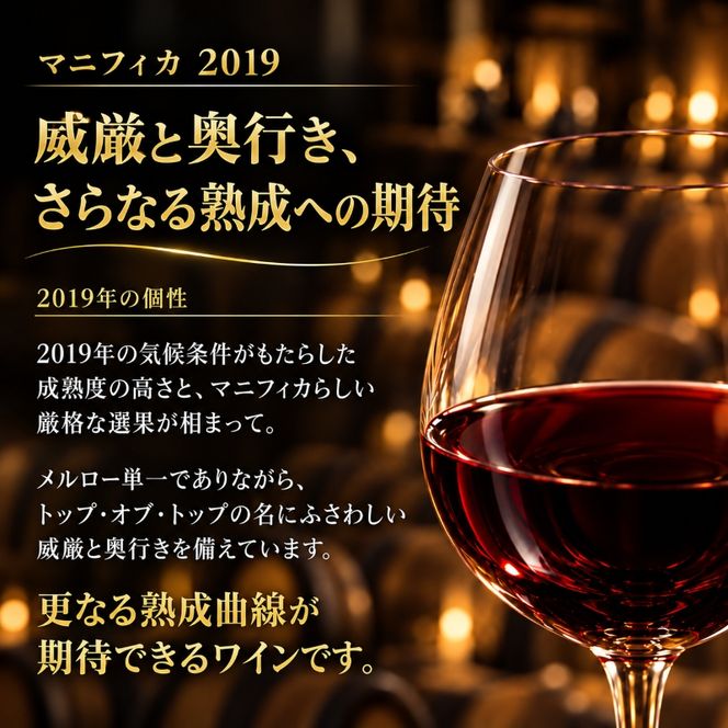 ワイン 信州ワイン 赤 千曲川 マスカット・ベーリーA 750ml 1本 赤ワイン マンズワイン 酒 お酒 洋酒 果実酒 ぶどう酒 長野 長野県小諸市