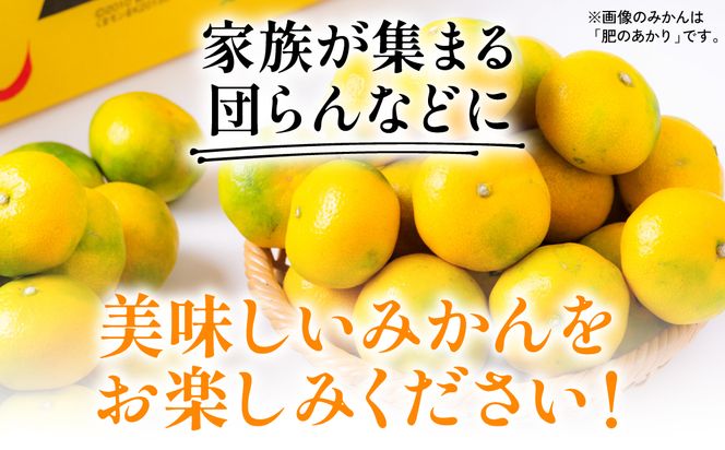 【先行予約】 数量限定 八代市東陽町産の季節のみかん5kg みかん 柑橘 フルーツ 果物 果実 ミカン 蜜柑 熊本県 八代市 【2026年9月下旬より順次発送】