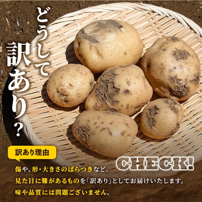 ＜先行予約受付中！2026年12月以降順次発送予定＞訳あり！じゃがいも ニシユタカ(10kg) 国産 鹿児島県産 阿久根市産 じゃがいも ジャガイモ 芋 ポテト にしゆたか 訳アリ 野菜 ポテトサラダ コロッケ 常温 常温配送 【慶越農園】akn107-07
