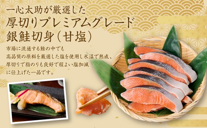 【定期便6回】 厚切り プレミアムグレード 銀鮭 切身  (甘塩) 500g ギンザケ お弁当 おかず レシピ 焼き魚 ムニエル 冷凍 サケ さけ シャケ 切り身 魚 魚介 甘塩 熊本県 八代市