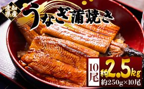 国産蒲焼きうなぎ ２５０ｇ １０尾 計２５００ｇ fb-0173
