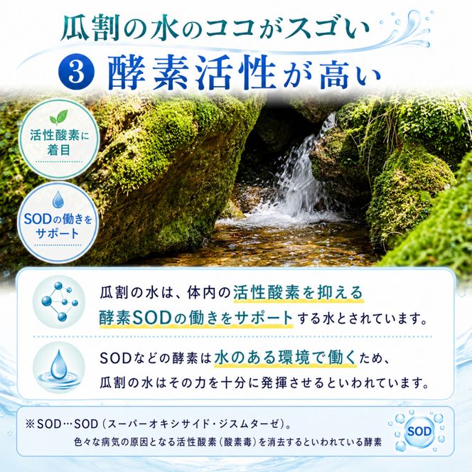 おいしい水 500ml 24本 瓜割名水 名水百選選抜総選挙おいしさ部門2位 ミネラルウォーター 美味しい水 水 ナチュラルミネラルウォーター 天然水 みず ペットボトル 2リットル 飲み物 飲料 飲料水 福井 福井県 若狭町