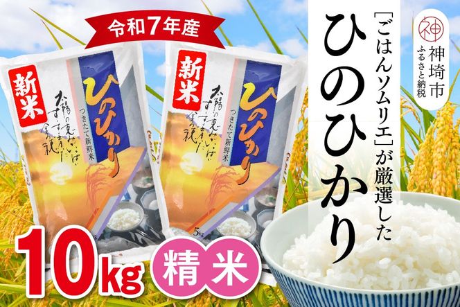 yꌧ_szyߘa7NY Vāz͂\GI  Ђ̂Ђ 10kgy_sY V     10kg 5kg×2 Ђ̂Ђ uh HӒmz(H063151)