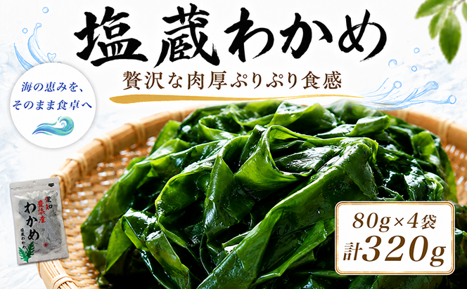 【2027年先行予約3月発送】 塩蔵わかめ 計320g 4袋 1袋80g チャック袋入 お味噌汁 和物 ごはん 丼 サラダ 海藻 料理 愛知県 南知多町 ワカメ わかめ 海藻類 おすすめ おいしいワカメ お米 に合う 米 に合う コメ に合う 水産 海の恵 塩蔵ワカメ 酢の物 水産加工 おこめ に合う 味噌汁 知多半島 大人気 南知多産わかめ 愛知県産ワカメ 南知多 南知多のわかめ 人気わかめ